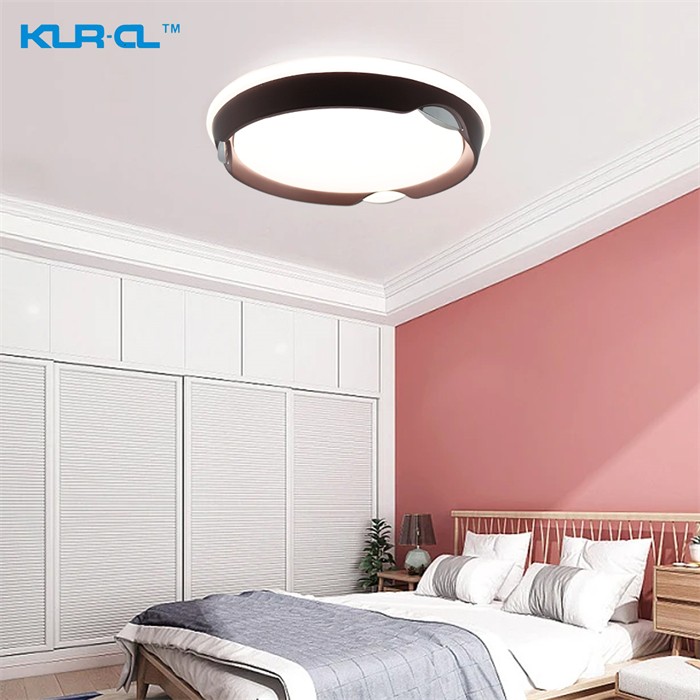 Modern cold white nature white warm white 2.4G wireless control home led ceiling light