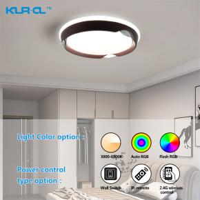 Modern cold white nature white warm white 2.4G wireless control home led ceiling light