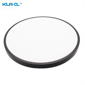 Scandinavian style minimalist black and white 2.4G wireless control interior led ceiling light	