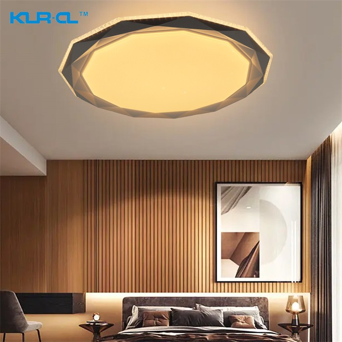 high brightness Nordic black and transparent intelligent Digital home ceiling lights	
